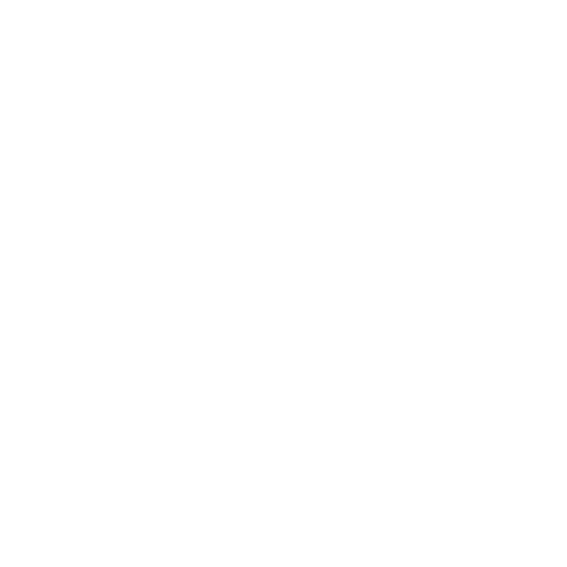 Traditional Kazakh dish Beshbarmak